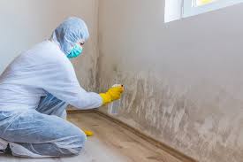 Best Mold Damage Restoration  in Pleasanton, CA