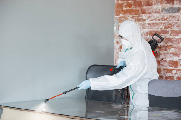 Best Mold Prevention Services  in Pleasanton, CA