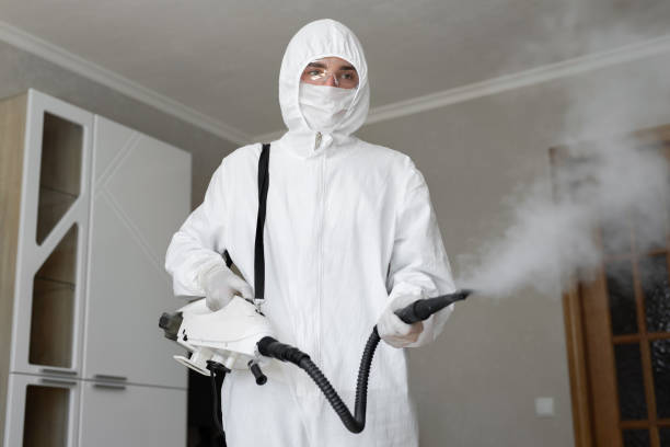 Best Air Quality Testing for Mold Spores  in Pleasanton, CA